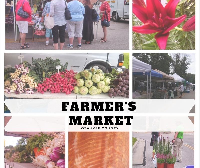 Farmer’s Market: Why choose local?